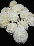 25 Carnation Sharp Eage White Artificial Sola Wood Flower Diffuser Flowers 4 cm Carnation