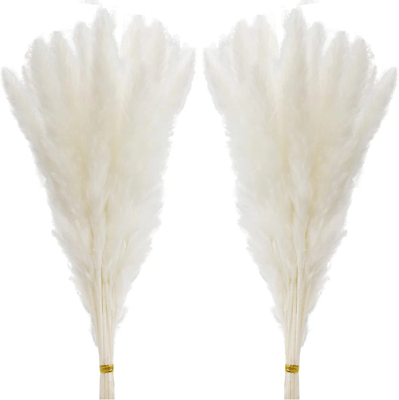 60 Pcs White Pampas Grass ,17 Inch/45 Cm Natural Dried Pampas Grass Branches Dec Pampas Grass