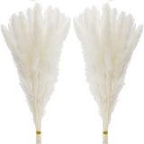 60 Pcs White Pampas Grass ,17 Inch/45 Cm Natural Dried Pampas Grass Branches Dec Pampas Grass