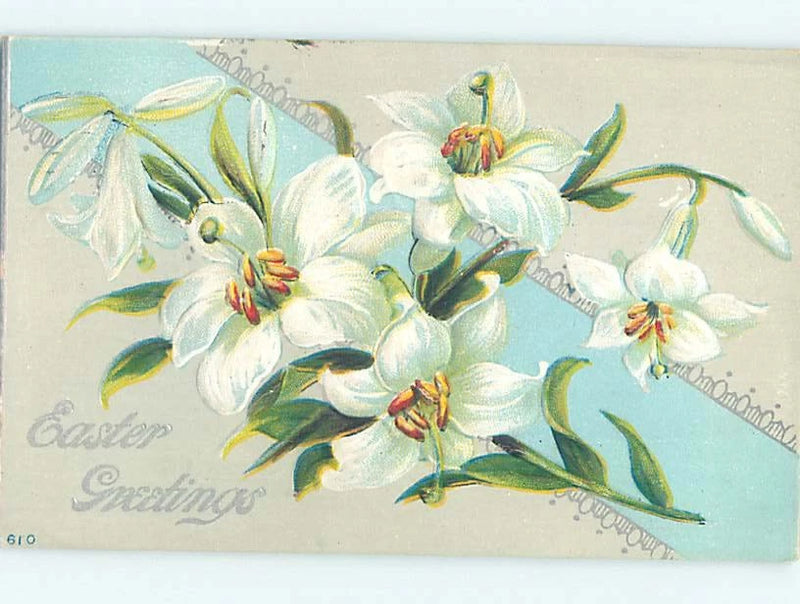 Divided-Back BEAUTIFUL EASTER LILY FLOWERS : make an offer o5579 Lily
