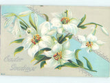 Divided-Back BEAUTIFUL EASTER LILY FLOWERS : make an offer o5579 Lily