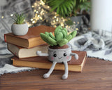 Handmade Crochet Succulent in Cotton Pot, Amigurumi Plant, Cute Desk Home Decor Green Plant