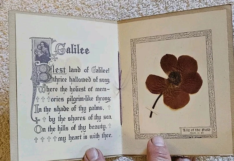 Pressed flower artwork in open book, two brown flowers on a decorative border