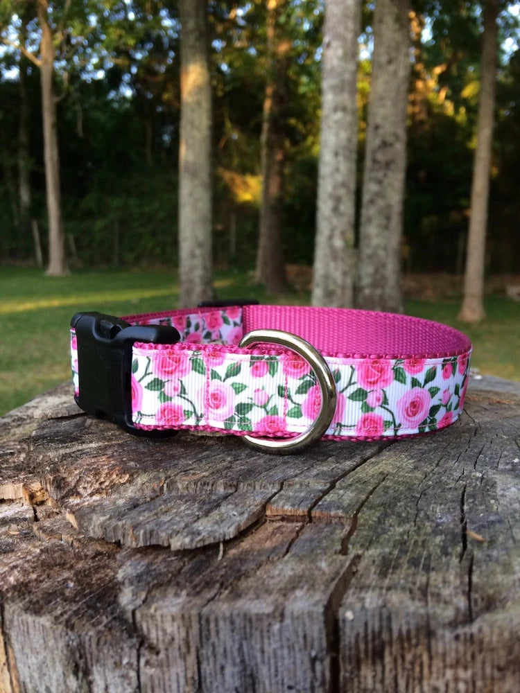 Pink rose-print dog collar with bright pink strap and silver D-ring buckle