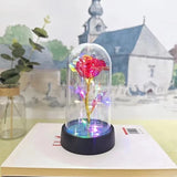 Light Up Flower Rose in Glass Dome Christmas Gifts Birthday Gift For Women Her Roses