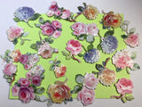 Anna Griffin Hydrangea and Rose Stickers 24 Piece Hydrangea