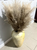 Floor Vase With Pampas Grass Pampas Grass