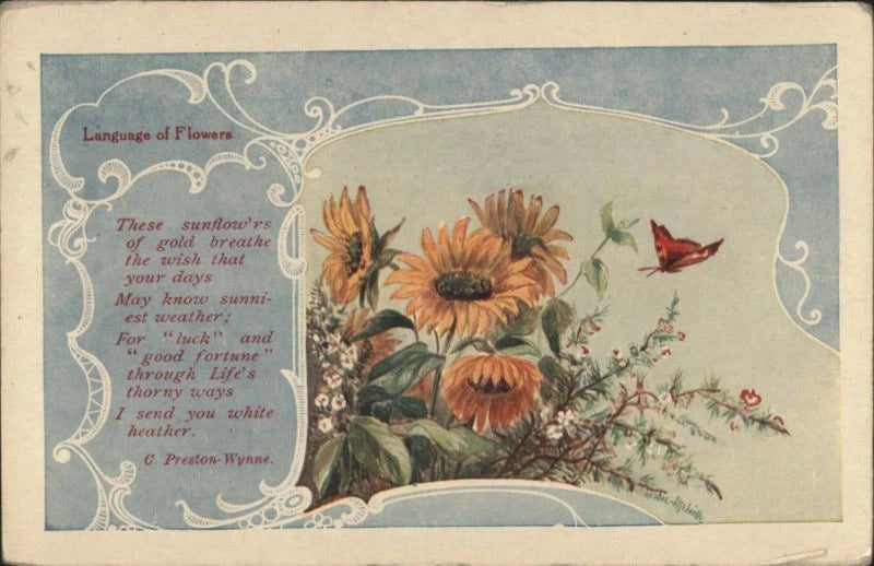 Sunflowers & Butterfly with 'Language Flowers' Poem Poetry Antique Postcard Sunflower