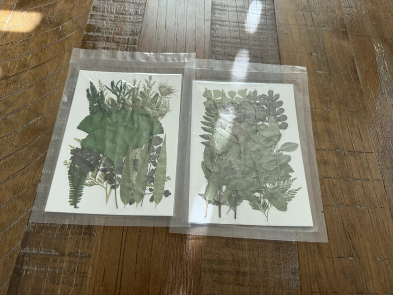 vacuum-sealed packs of real, dried pressed botanical leaves flowers various DIY Dried Flower