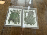 vacuum-sealed packs of real, dried pressed botanical leaves flowers various DIY Dried Flower
