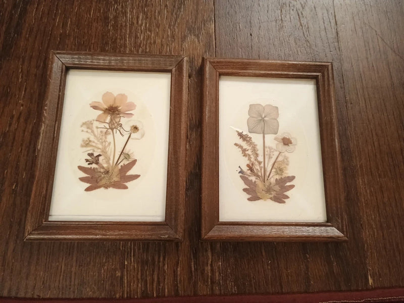 Set of 2 wooden-framed pressed flower prints with dried beige blooms