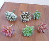 Set of 6 Artificial Flocking Mini Succulents Plants(2 colors) Green Plant