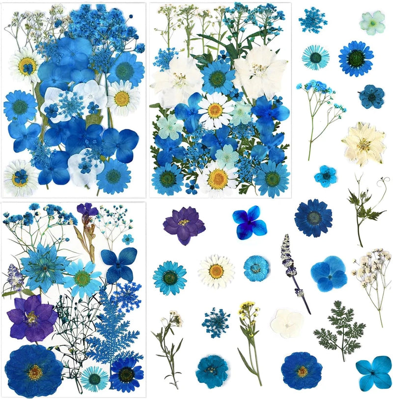 85 Pcs Blue Pressed Dried Flowers for Resin Molds, Real Natural Flowers Leaves B Dried Flower
