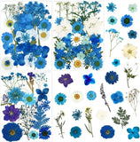 85 Pcs Blue Pressed Dried Flowers for Resin Molds, Real Natural Flowers Leaves B Dried Flower