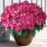 8 Bundles Artificial Hydrangea Flowers for Outdoor Decor, Realistic Faux Silk... Hydrangea
