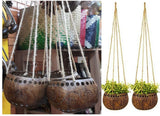 Coconut Shell Hanging Plant Natural Pot Outdoor Garden Home Decor Hanger (2Pcs) Garden Plants