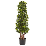 3.5 English Ivy Spiral UV Resistant (In-Door/Out-Door) Green Plant