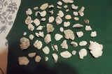 50 Small/Mini Tree Shelf Fungus for Crafts or Art projects, Mostly White Dried Flower
