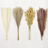 Le courant 17" 100Pcs Dried Pampas Grass Decor, Naturally Small Boho Pampas Pampas Grass