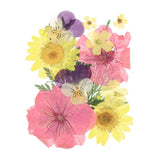 Dried Pressed Flowers Floral Real Dry Pressed Leaves for DIY Crafts Multicolor Dried Flower