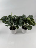 Potted Faux Plant 2-Pack for Indoor Decor Green Plant