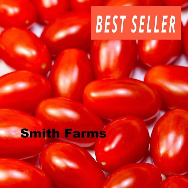 50+ Seeds Juliet Tomato Tasty Juicy Easy to Grow Vegetable Garden Planting Garden Plants