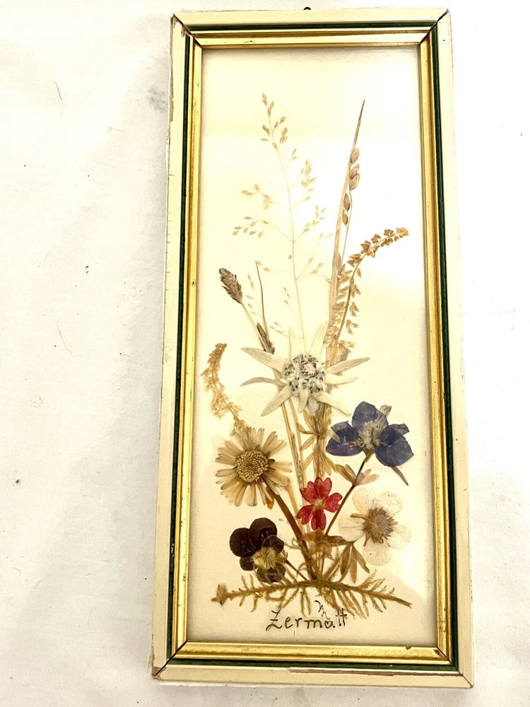 Oshibana Dried Flower Art Framed w/Glass Painted Gold Trim Zermatt Switzerland Dried Flower