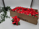 36 Double Stems Silk Flowers Red Cattleya Laelia Orchids 8 Inches New In Box Orchids