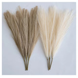 ChagoArt-Pampas Grass Decor Tall-Faux Pampas Grass Small 17"-6 Stems-Beige an... Pampas Grass