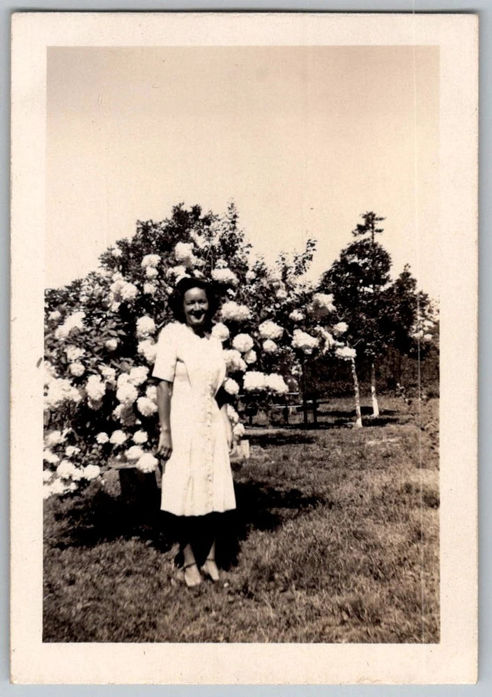 Vtg B&W Snapshot Smiling Woman In White Dress By Flowering Hydrangea Bush 1940s Hydrangea