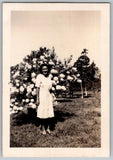 Vtg B&W Snapshot Smiling Woman In White Dress By Flowering Hydrangea Bush 1940s Hydrangea