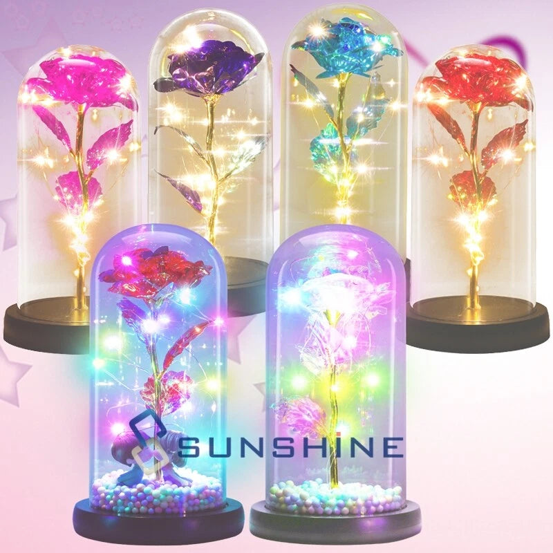 Colorful eternal rose LED lights in glass dome gift, multi-dome display