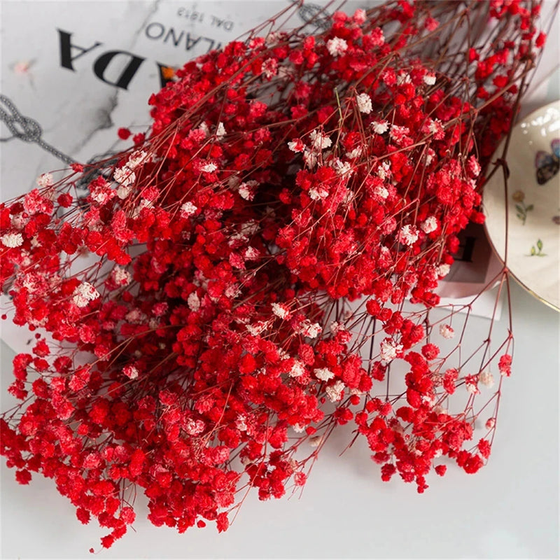 Red preserved gypsophila paniculata dried flower bunch for botanical decor