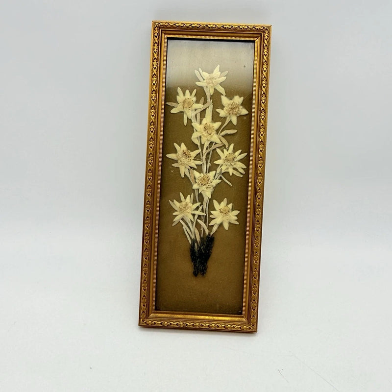 Gold ornate framed pressed flowers with beige blooms and stems on dark backing