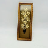 Vintage Pressed Flowers Framed Dried Flower