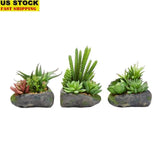 Artificial Succulent Plant Set of 3 Indoor Faux Stone Pots No Maintenance Decor Green Plant
