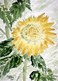 Lone Sunflower close up flower art print watercolor painting sun flowers Sunflower