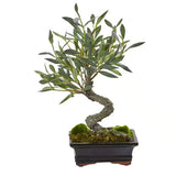 Mini Indoor Olive Artificial Bonsai Tree Green Plant