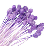 30 Pcs 16 Inch Dried Flowers for Vase Mini Pine Ball Flowers Purple(Stem) Dried Flower