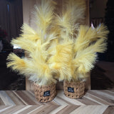 (2) Pampas Grass Ugly Christmas Trees  Faux Woven Basket 24Ó Boho Holiday Yellow Pampas Grass