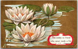 Flower Water Lilies Greetings And Wishes Card Postcard Lily
