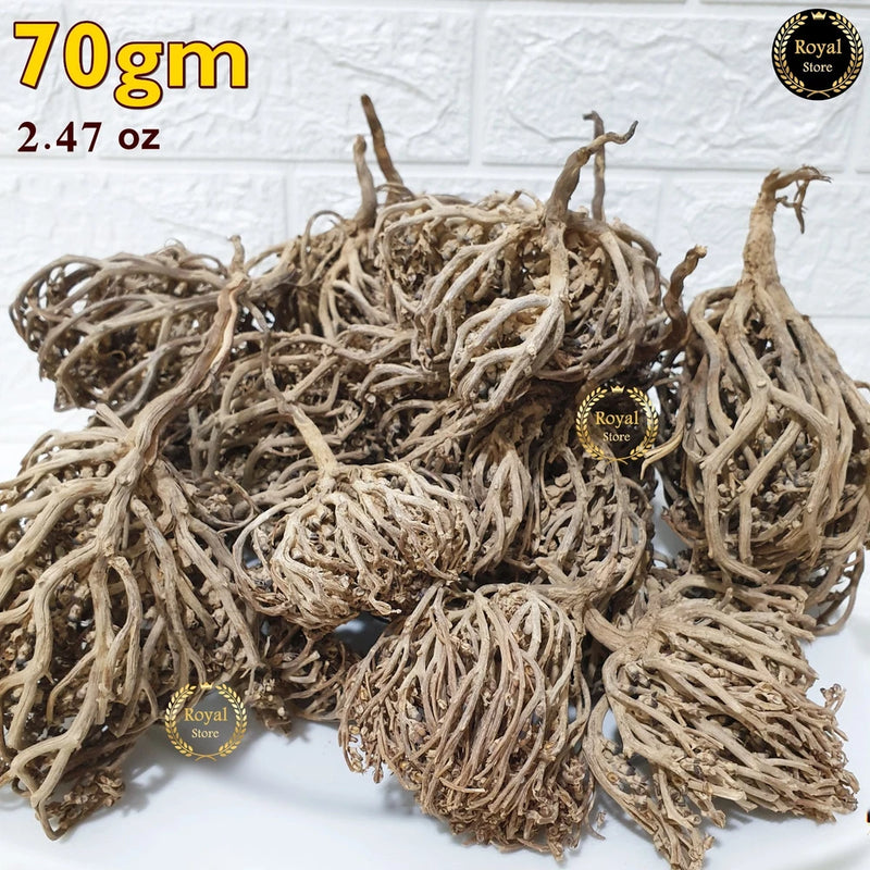 70gram Flower Of Maryam 2.47 oz Chaste Tree Herbs Palm Of Mary  ____ __ ____ Flowering Plants