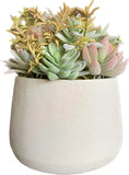 Artificial Succulents Plants, Assorted Green Faux Succulents in Pots, Succule... Green Plant
