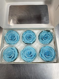 Preserved Roses - Eternity Rose - Forever Roses- 6 Pack - Baby blue - Ecuador Roses