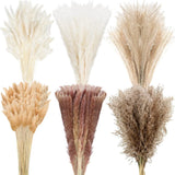 650 Pcs Dried Pampas Grass Bouquet for Boho Home & Wedding Decor Pampas Grass