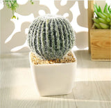 TIVRRGATI Faux Cacti assorted artificial cactus plant in square white pots Green Plant