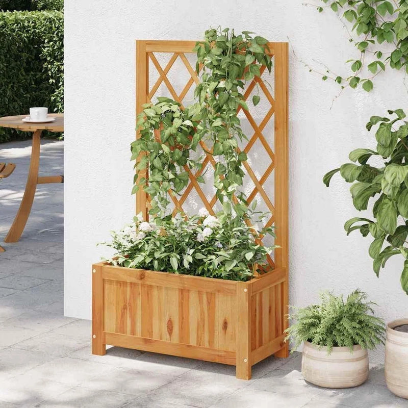 Light wood raised garden bed with lattice trellis and leafy climbing plants