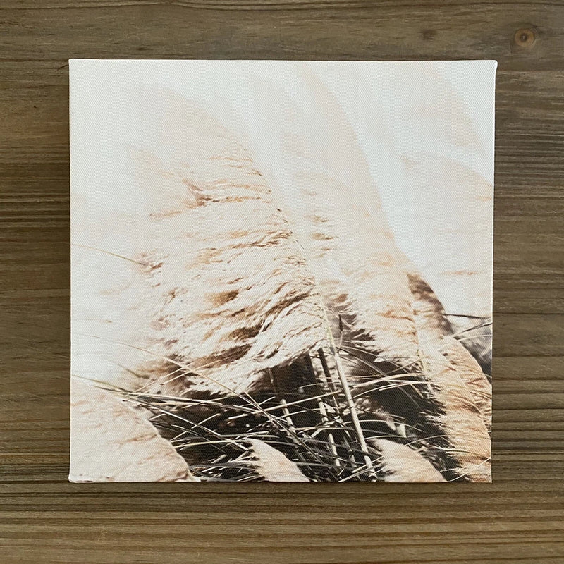Pampas Grass Small Canvas Wall Art Decor 8.5 x 8.5 in Pampas Grass