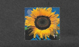 Flowers the Sunflower Nature mnh single Great Britain 2000 Sunflower