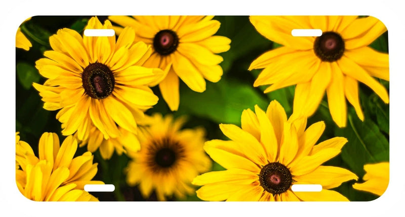 Sunflower license plate holder with yellow flowers on dark background, metal frame